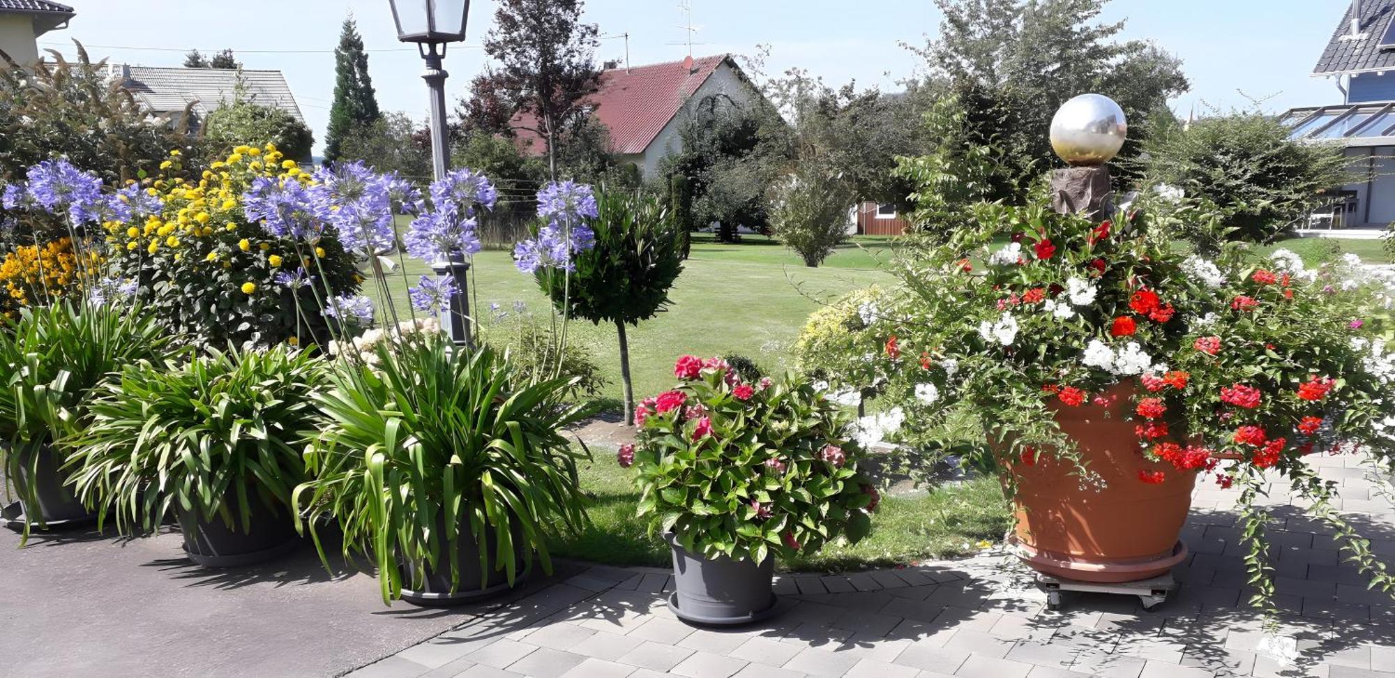 Feriendomizil Berta Benzingen Appartement Winterlingen Buitenkant foto